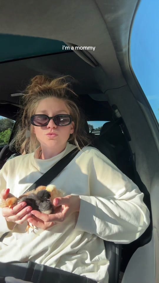 Post 4 by sara | homeschool+wellness on TikTok (video)