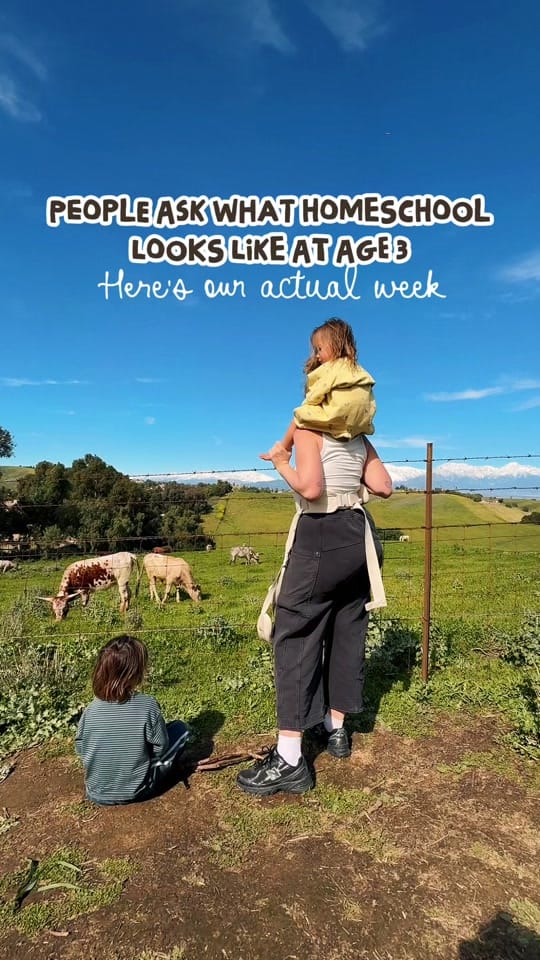 Post 3 by sara | homeschool+wellness on TikTok (video)