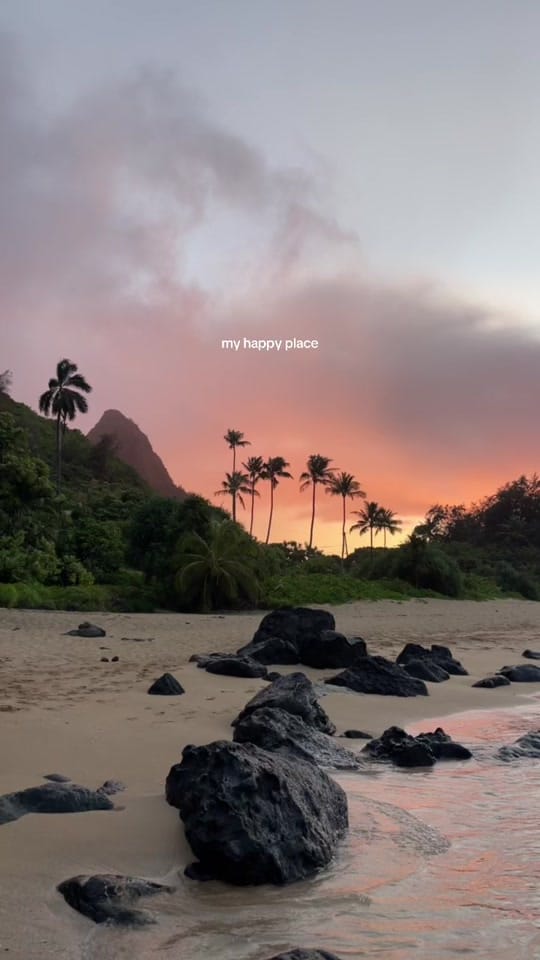 Post 2 by courtney 🌺🌈☀️ on TikTok (video)