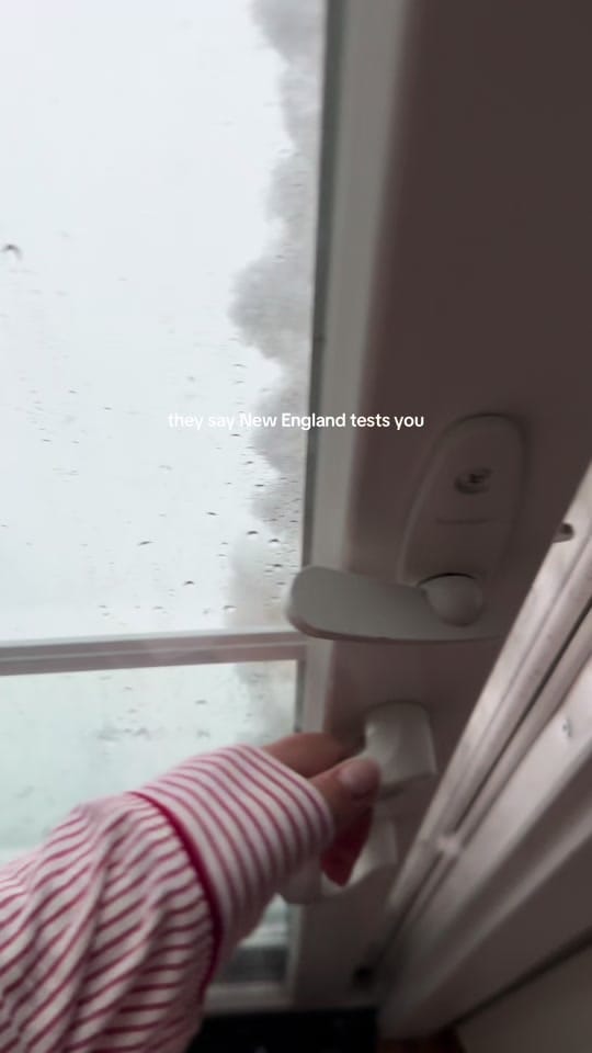 Post 4 by Tara on TikTok (video)