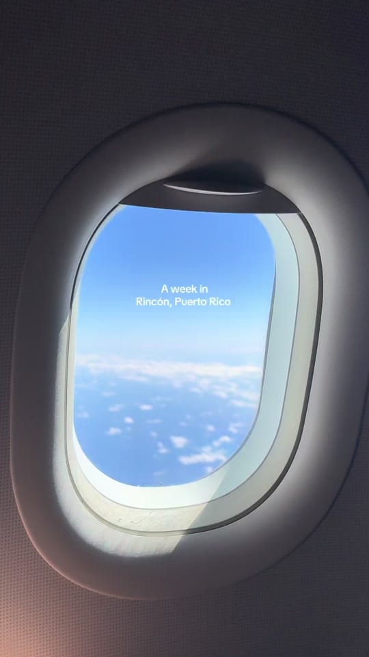 Post 8 by Tara on TikTok (video)