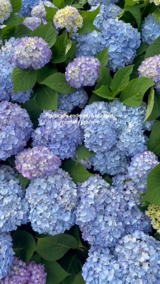 Post 6 by Tara on TikTok (video)
