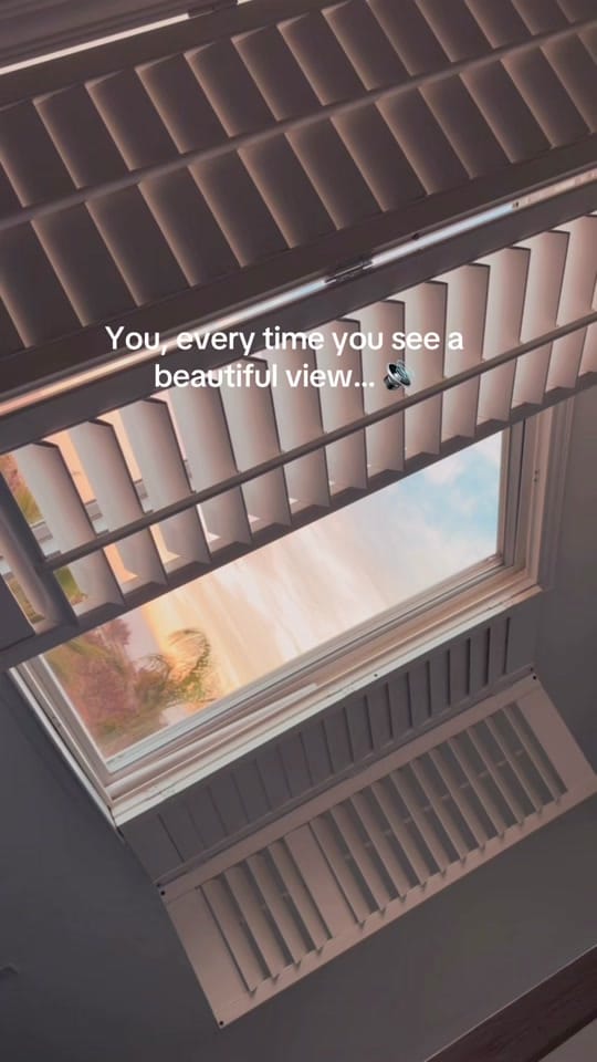 Post 8 by eldaeppler on TikTok (video)