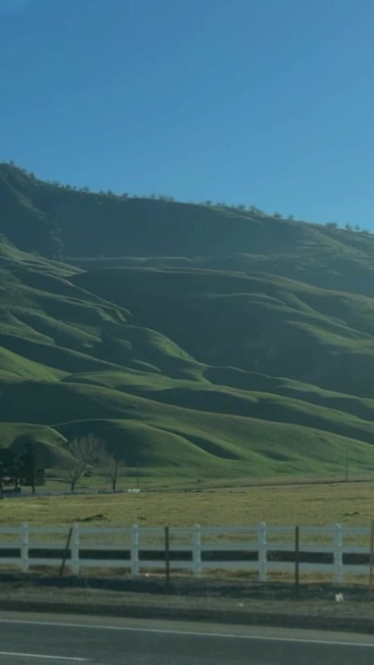 Post 6 by eldaeppler on TikTok (video)