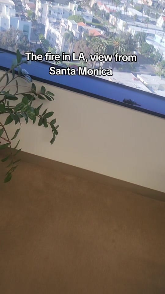 Post 9 by avagoldenone on TikTok (video)