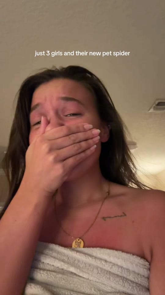 Post 6 by ella on TikTok (video)