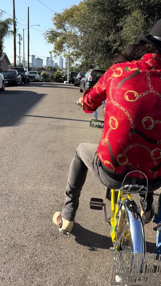 Post 7 by Bikesontheblvd TM on TikTok (video)