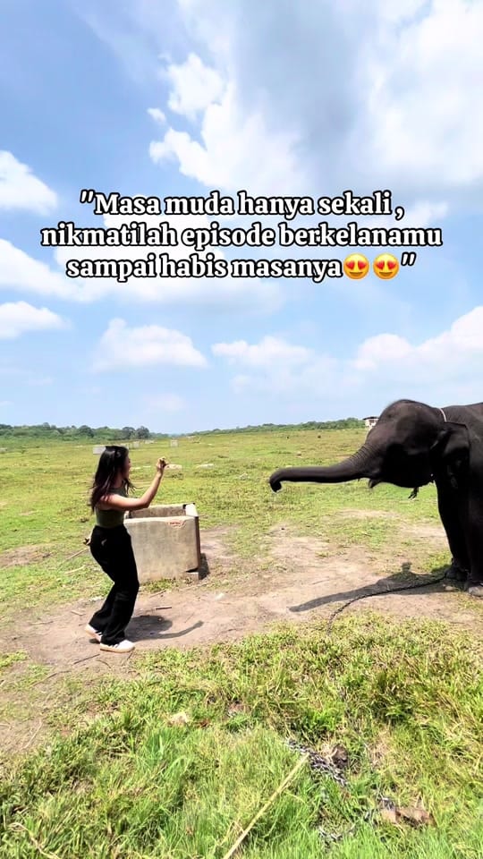 Post 8 by GAIA NUSANTARA on TikTok (video)