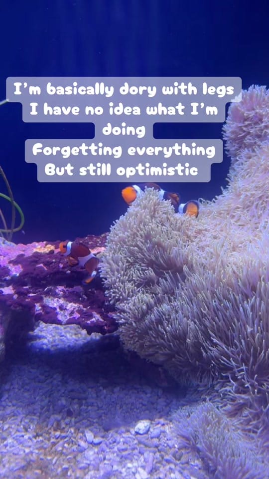 Post 6 by Talk2meGoose on TikTok (video)
