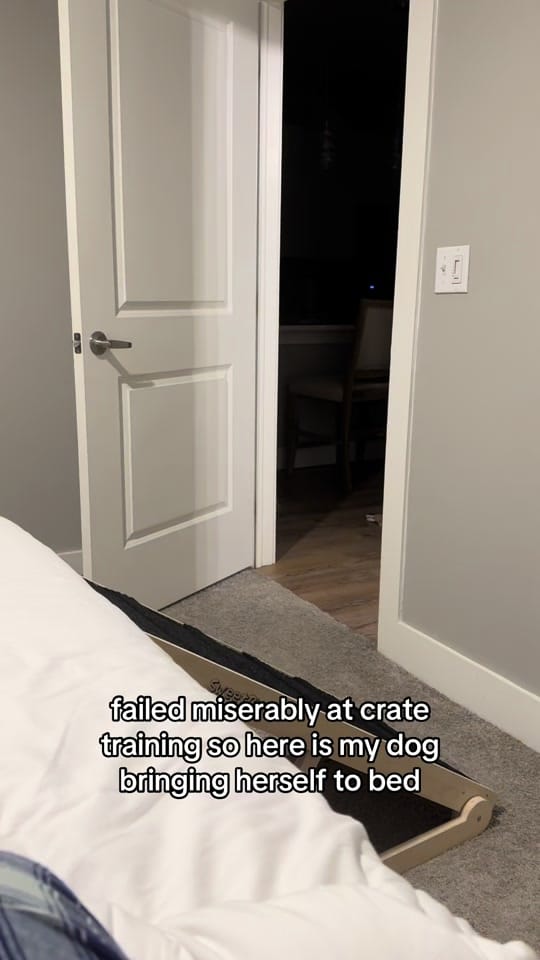 Post 9 by penny the weenie 🩷 on TikTok (video)