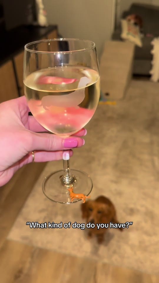 Post 7 by penny the weenie 🩷 on TikTok (video)