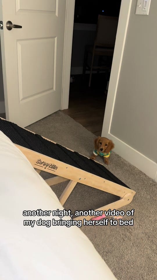 Post 8 by penny the weenie 🩷 on TikTok (video)