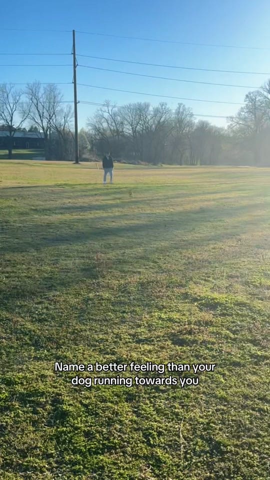 Post 6 by penny the weenie 🩷 on TikTok (video)