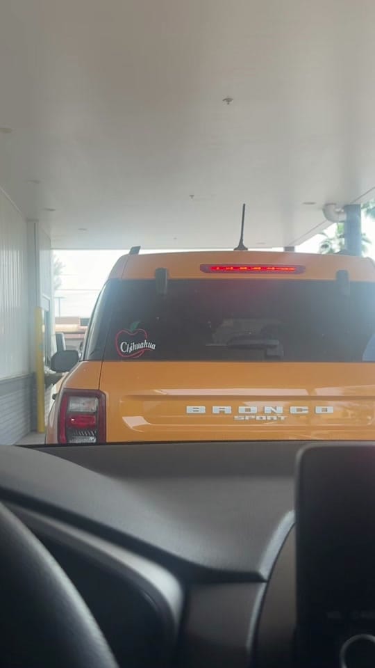 Post 1 by Lalo on TikTok (video)