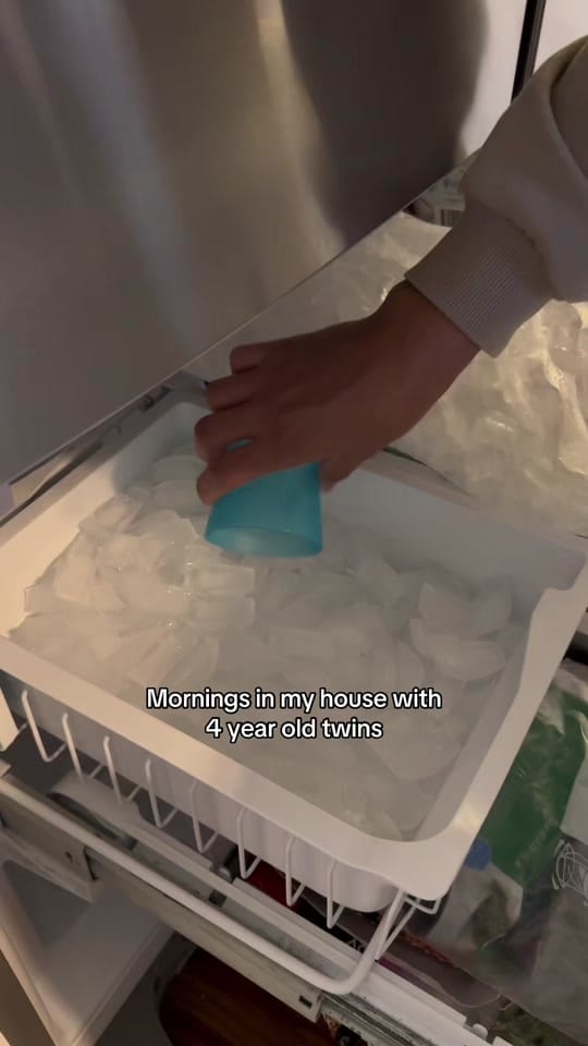 Post 2 by At Home With Bryan on TikTok (video)