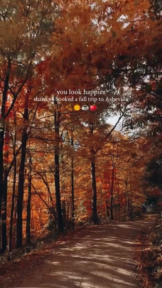 Post 5 by Travel Guides Asheville on TikTok (video)