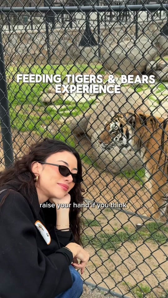 Post 7 by Mari on TikTok (video)
