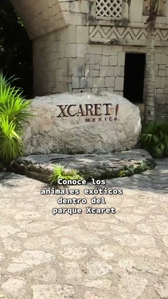 Post 8 by jaketravelsss on TikTok (video)