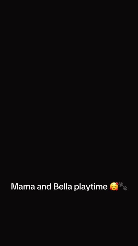 Post 5 by Anita and Bella Era ❤️🐾 on TikTok (video)