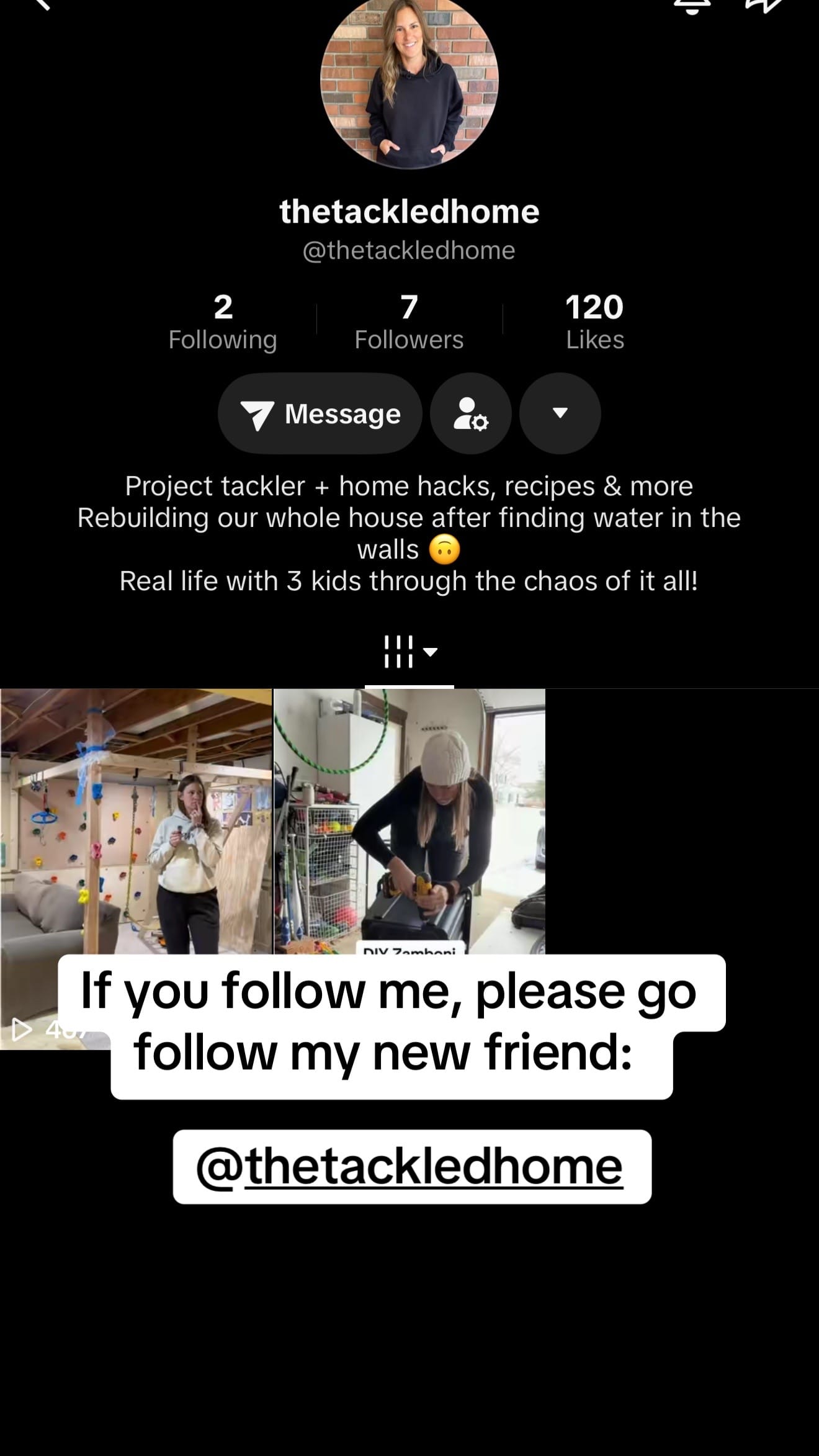 Post 6 by Anita and Bella Era ❤️🐾 on TikTok (video)