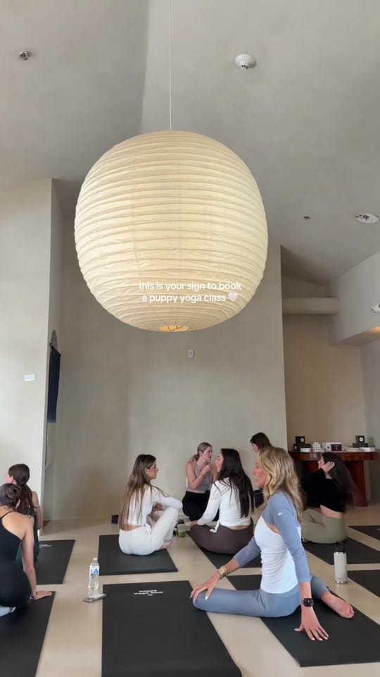 Post 1 by Amanda Casole | Miami Blogger on TikTok (video)
