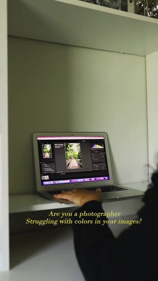Post 5 by Leslie - Houston Photographer on TikTok (video)