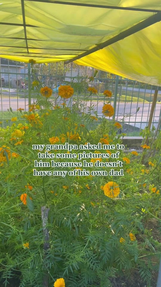 Post 10 by Leslie - Houston Photographer on TikTok (video)