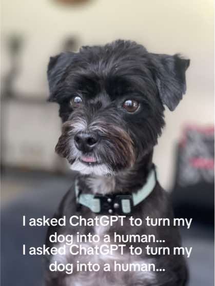 Post 4 by Hearts of Sage Photography on TikTok (video)