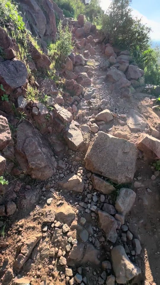 Post 6 by MNMTikTok on TikTok (video)