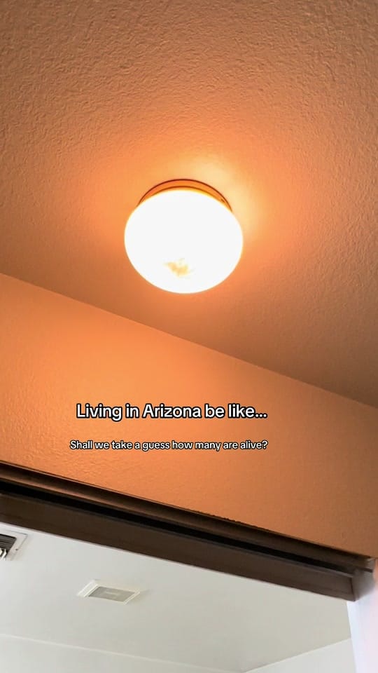 Post 4 by MNMTikTok on TikTok (video)