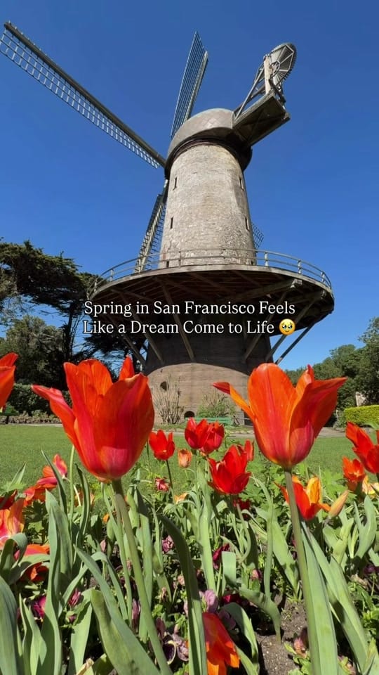 Post 1 by Discover California on TikTok (video)
