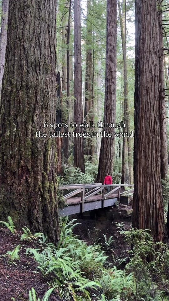 Post 2 by Discover California on TikTok (video)