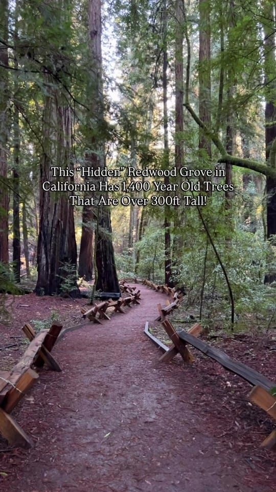 Post 7 by Discover California on TikTok (video)