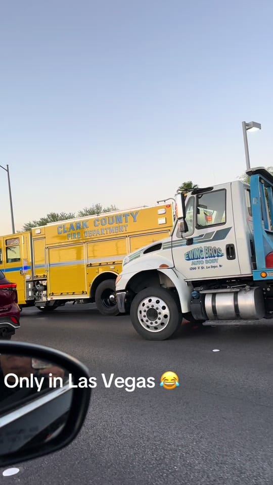 Post 10 by Las Vegas Adventures on TikTok (video)