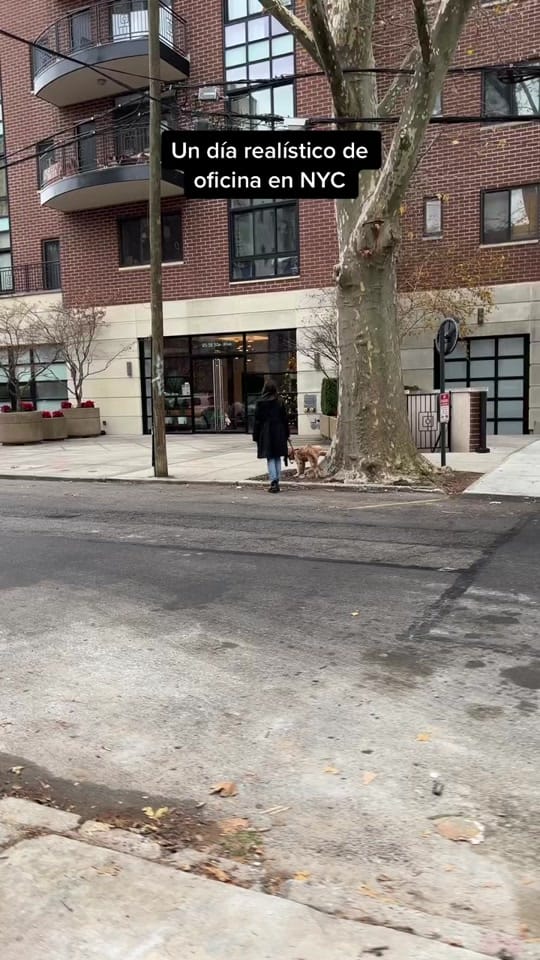 Post 10 by Mag Fritzenwalden on TikTok (video)