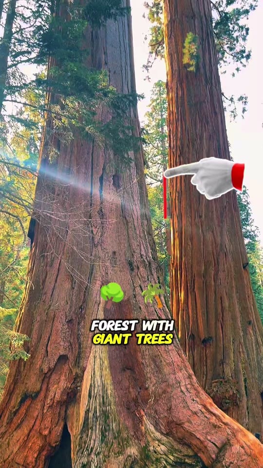 Post 9 by FastFacts USA on TikTok (video)