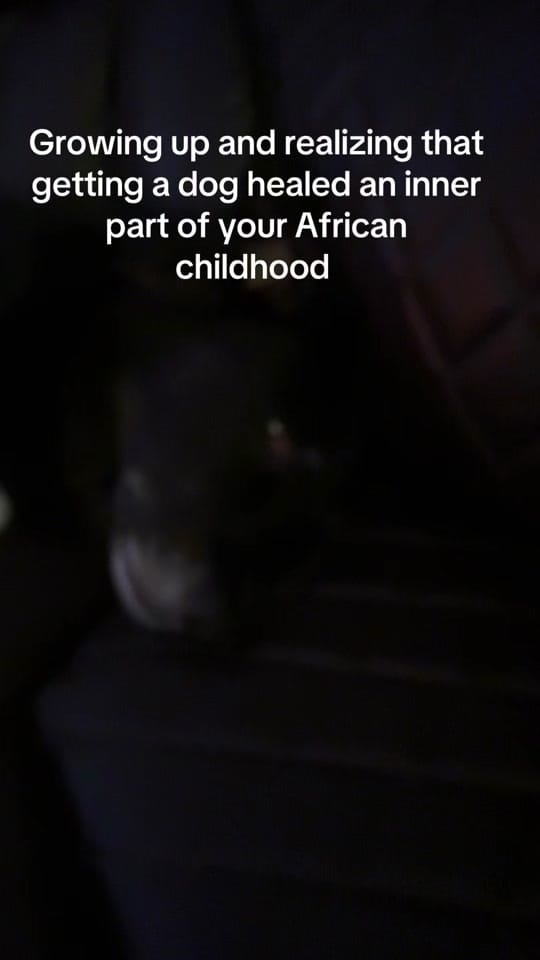 Post 6 by NigerianAmericanFamily🇳🇬🇺🇸 on TikTok (video)