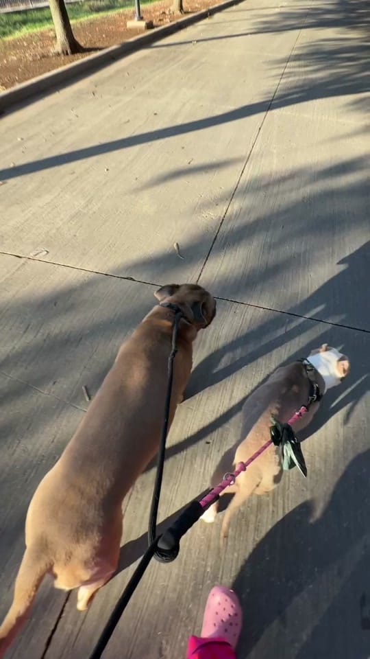Post 3 by Big Des ‼️ on TikTok (video)