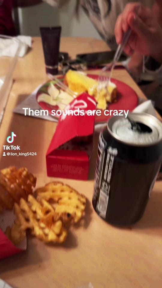 Post 6 by lion5424_ on TikTok (video)