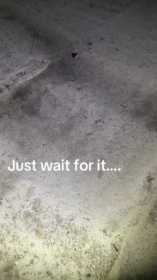 Post 1 by Kristen Lollis on TikTok (video)