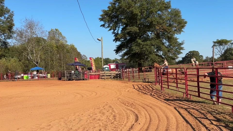 Post 4 by Halie on TikTok (video)