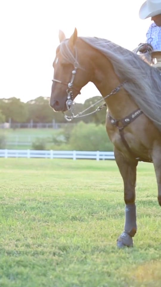 Post 9 by Kirstie Marie Photo on TikTok (video)