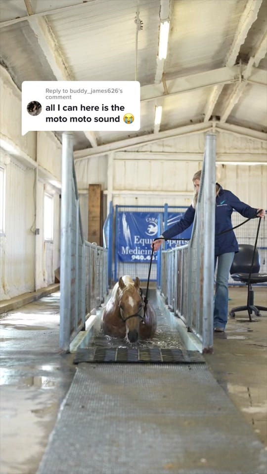Post 8 by Kirstie Marie Photo on TikTok (video)