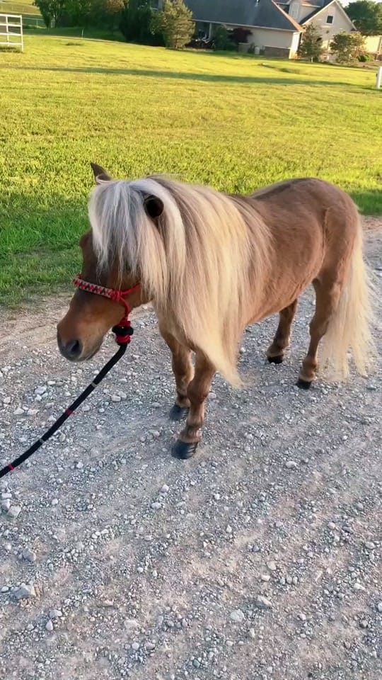 Post 10 by Kirstie Marie Photo on TikTok (video)