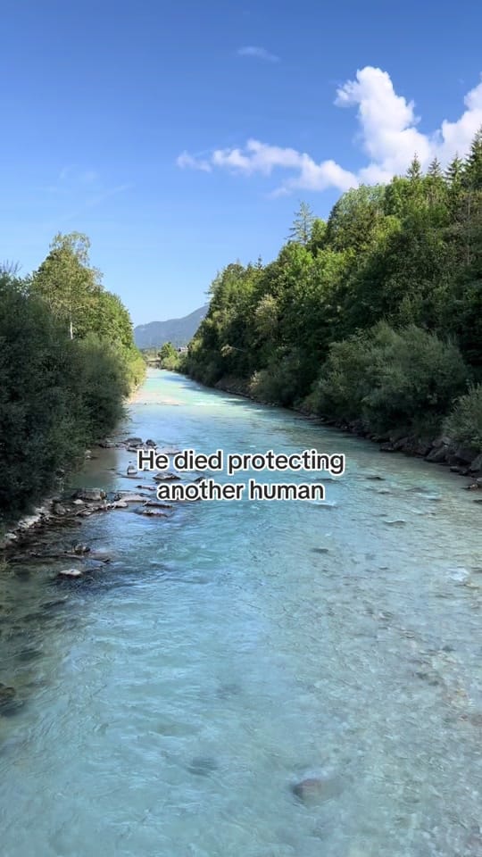 Post 5 by Critsey 🇺🇸🇩🇪 on TikTok (video)
