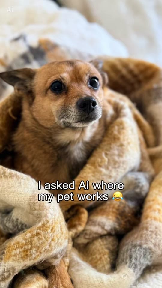 Post 3 by Critsey 🇺🇸🇩🇪 on TikTok (video)