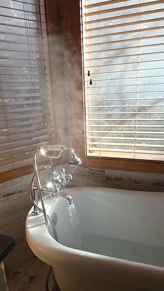 Post 4 by erinexpress x MI on TikTok (video)
