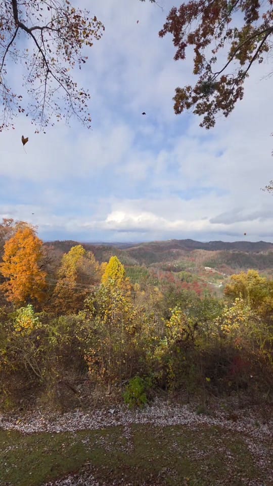 Post 3 by erinexpress x MI on TikTok (video)