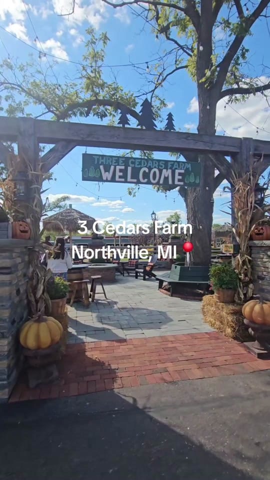 Post 9 by erinexpress x MI on TikTok (video)