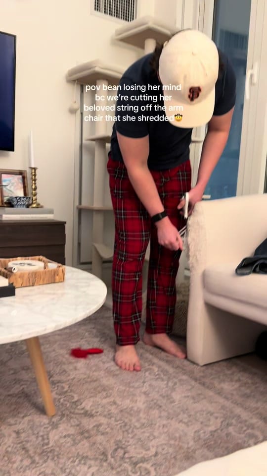 Post 8 by Caroline Jones on TikTok (video)